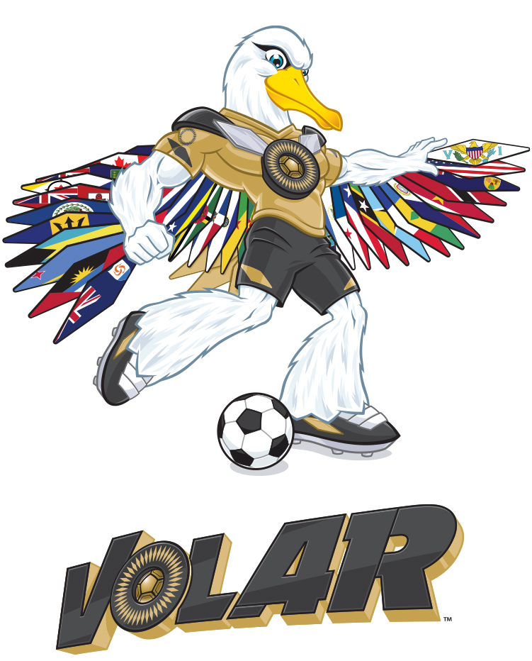 Volar case study design attributes image