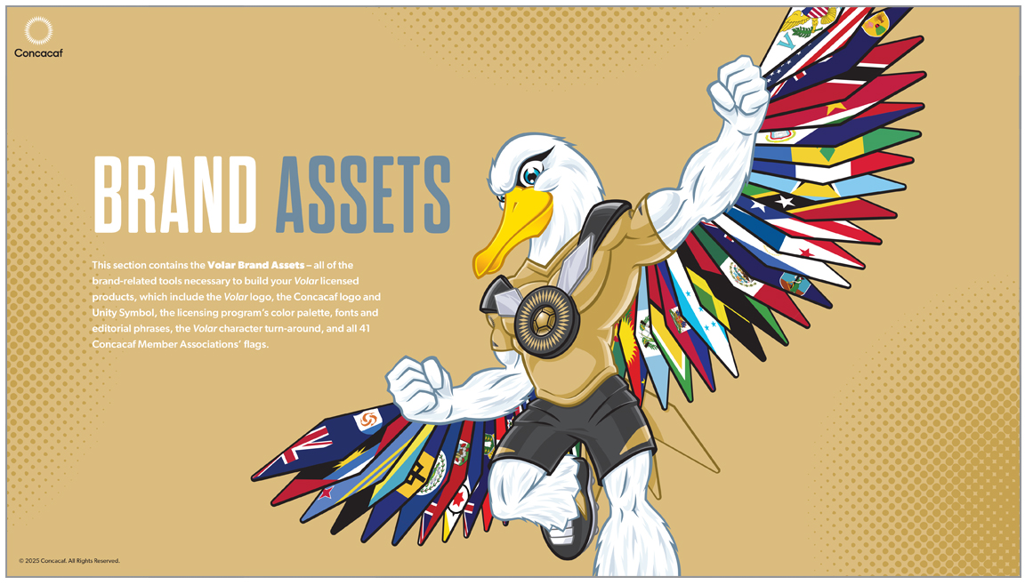 Volar style guide page 5