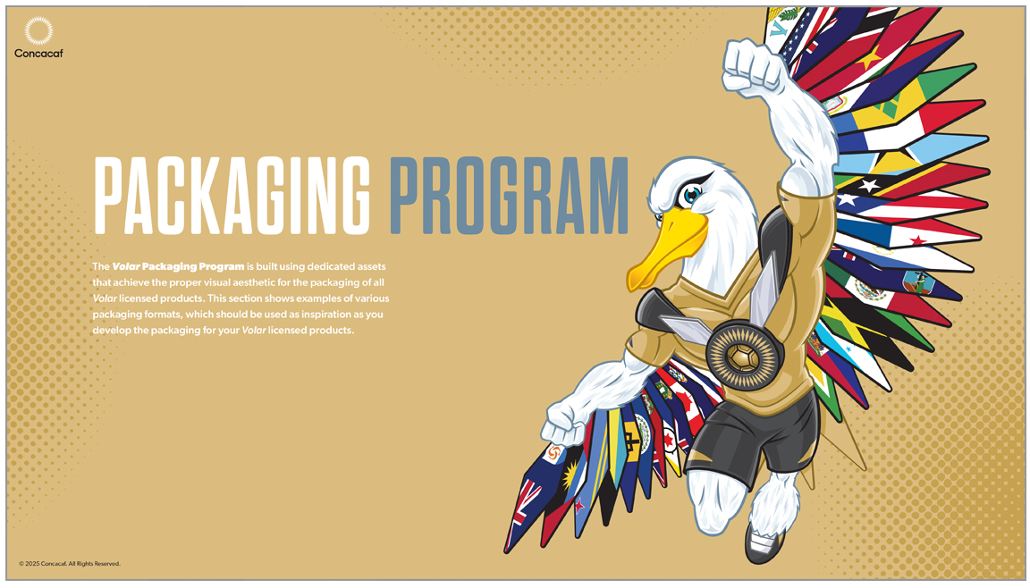 Volar style guide page 17